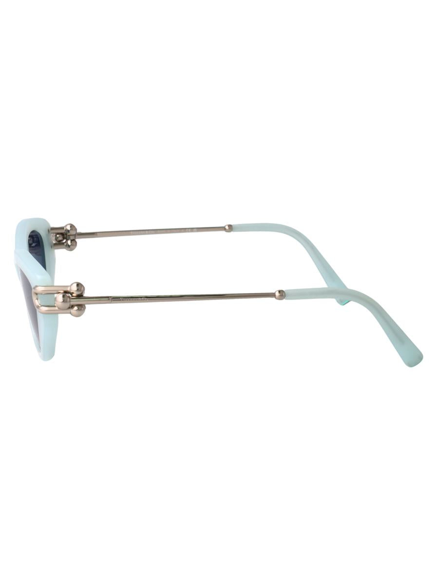 Tiffany & Co. Sunglasses