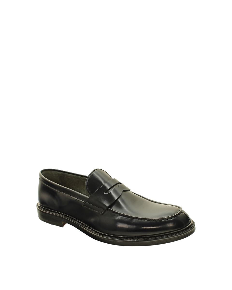 Doucal's Moccasin
