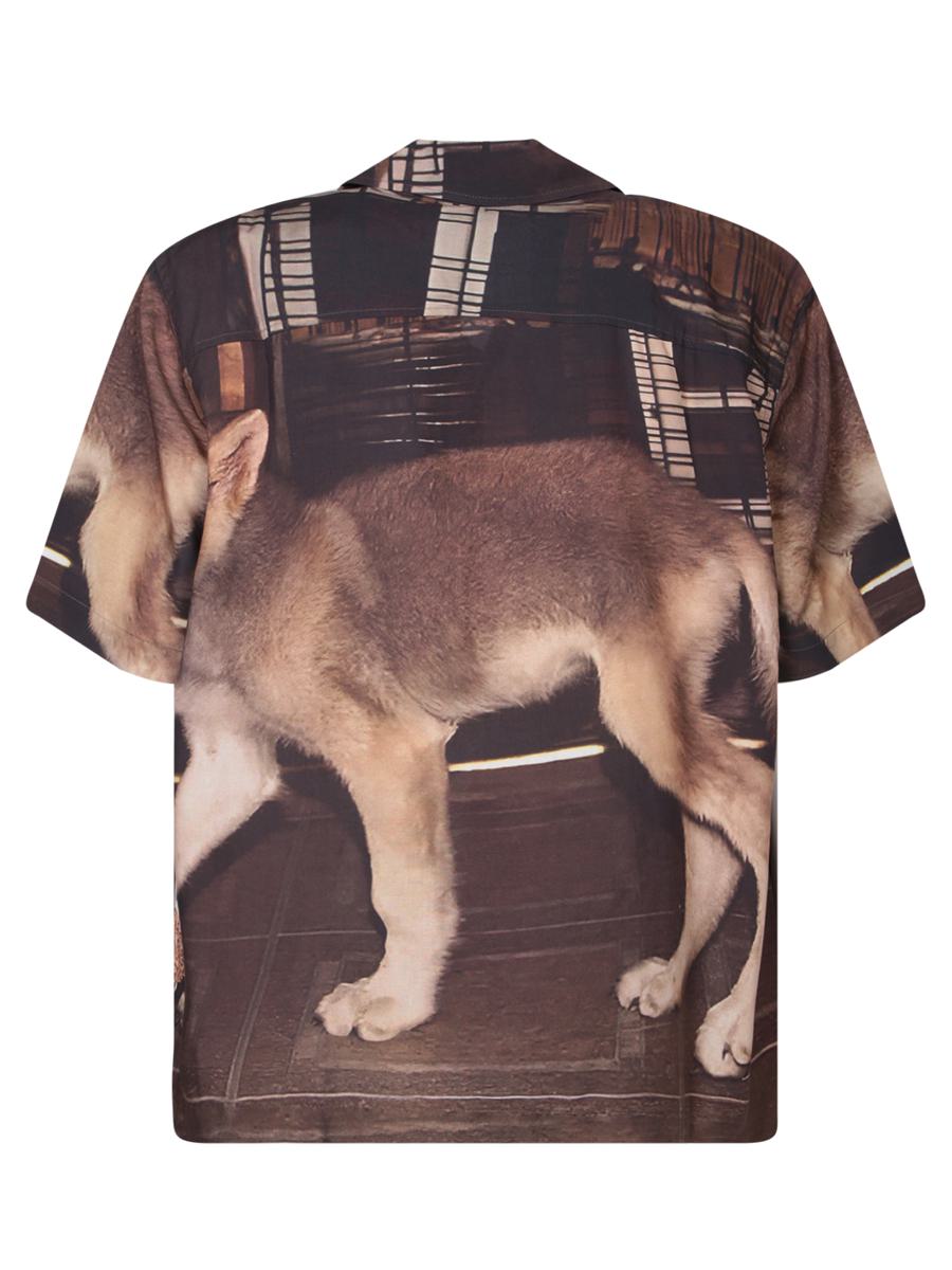 Fuct Shirts