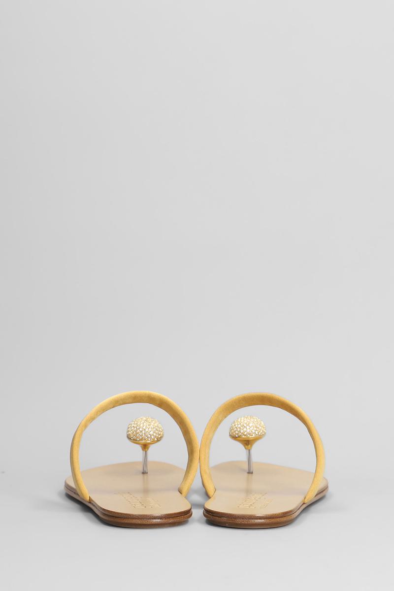 Pedro Garcia Pacha Flats