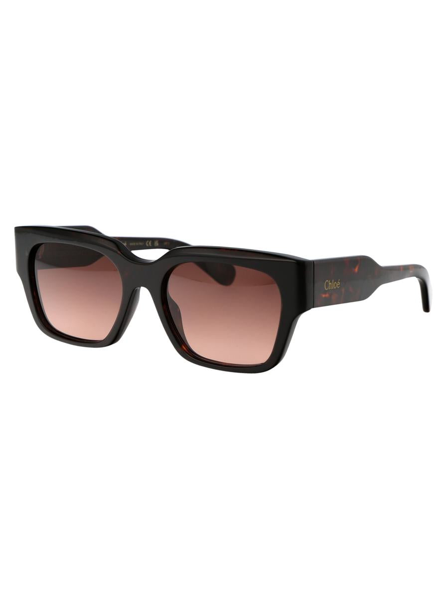 Chloé Sunglasses
