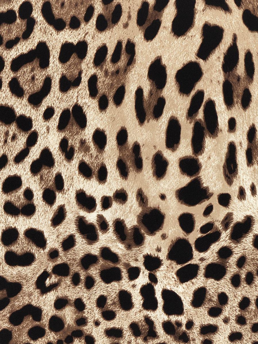 Dolce & Gabbana 'Leopardo' Scarf