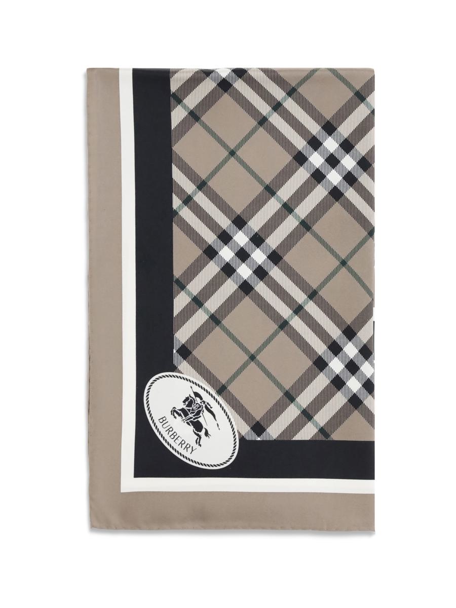 Burberry Scarves