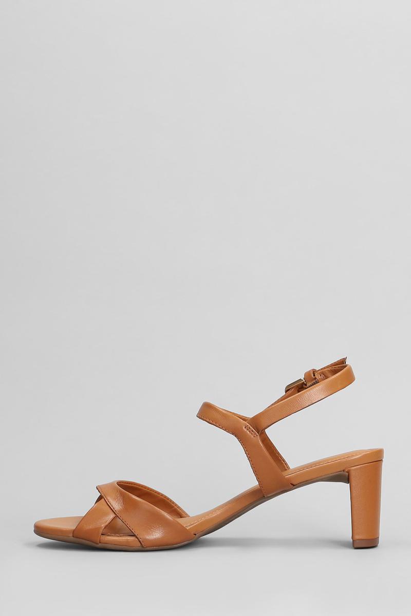 Arezzo Sandals