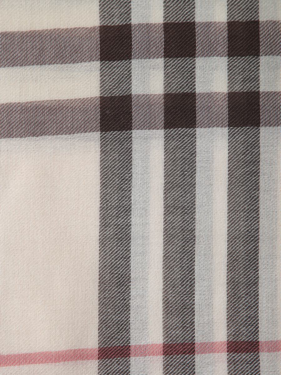 Burberry Scarves