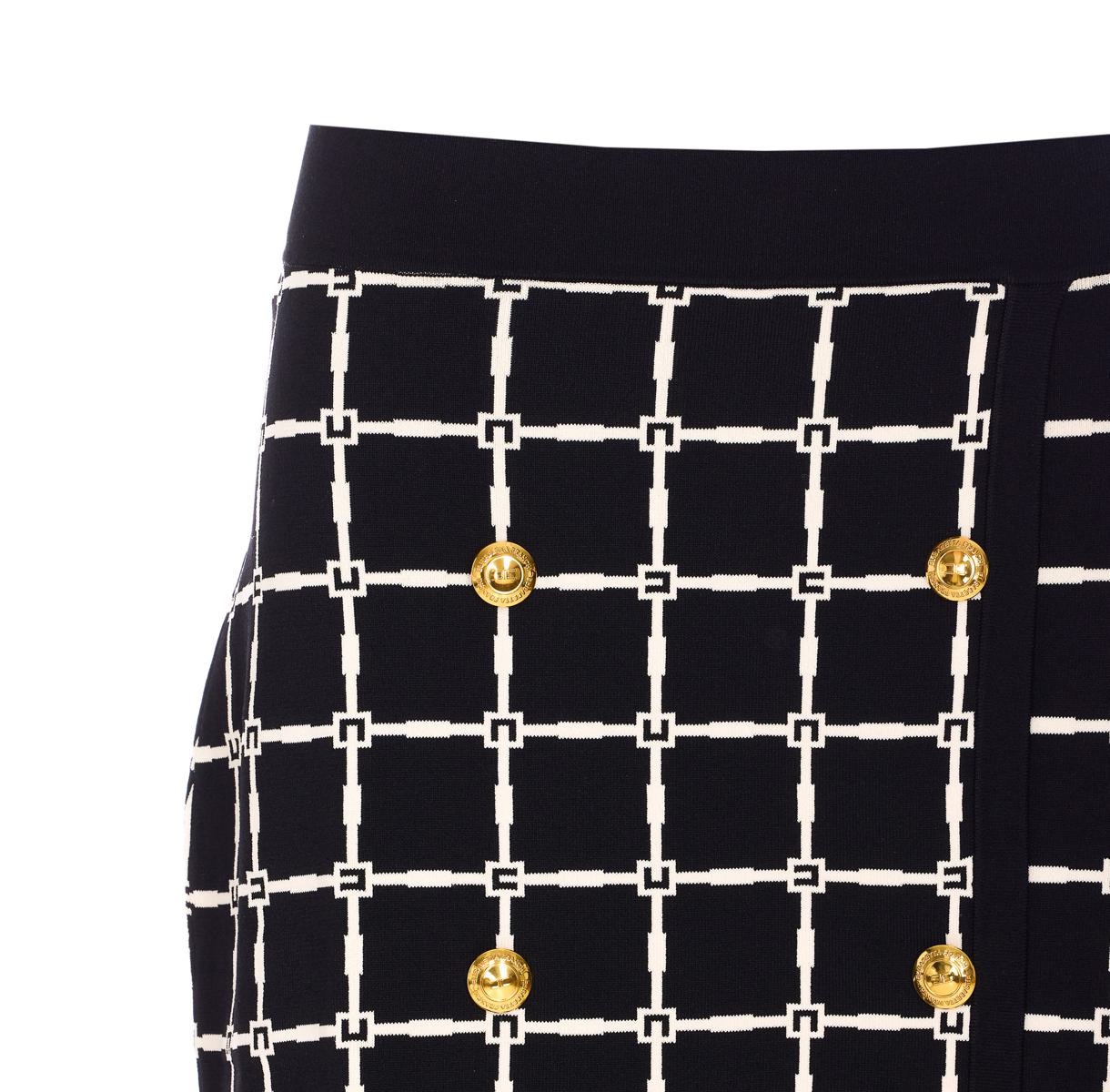 Elisabetta Franchi Skirts